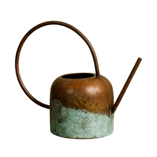 Tarnished Watering Can