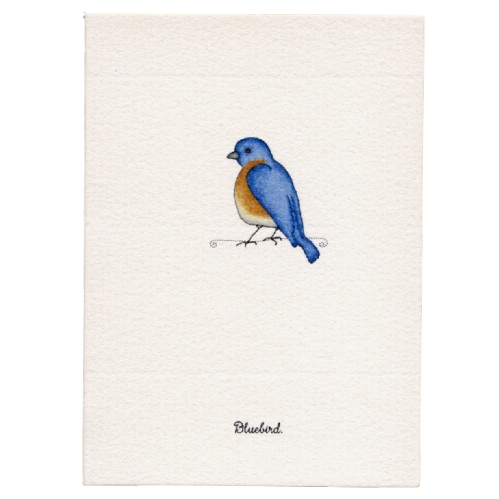 Tiny Boxed Cards - Birds