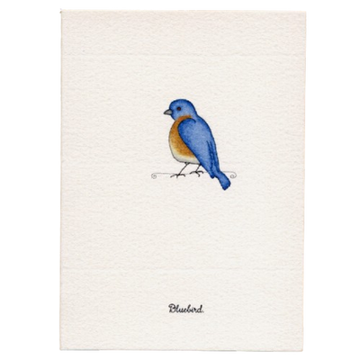 Tiny Boxed Cards - Birds
