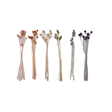 Dried Craspedia Bunch