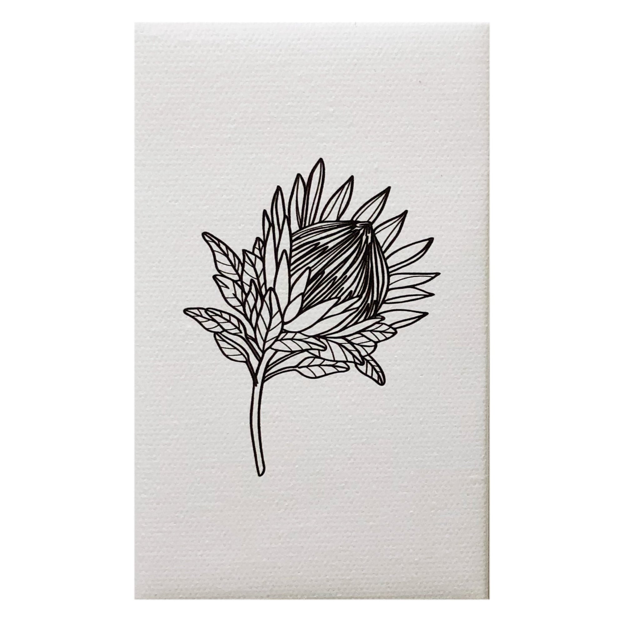 Canvas Magnet - Australia Flower