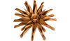 Rust Flower, Clematis (medium)