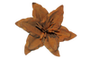 Rust Flower, Lily (medium)