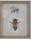 Framed Bee Canvas