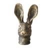 Briar Hare Head