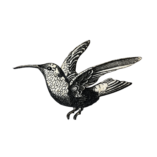 Hummingbird Magnet