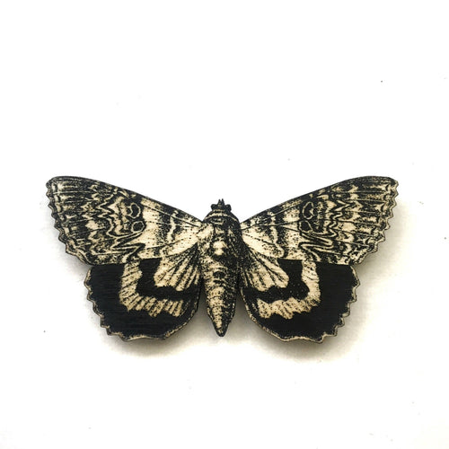 Butterfly Magnet