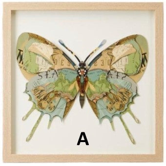 Framed Butterfly