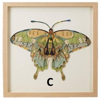 Framed Butterfly