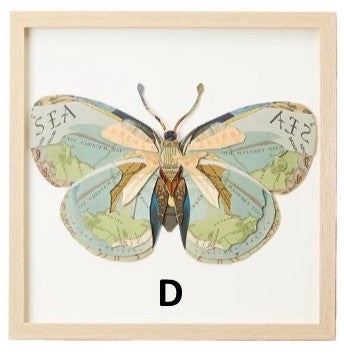Framed Butterfly