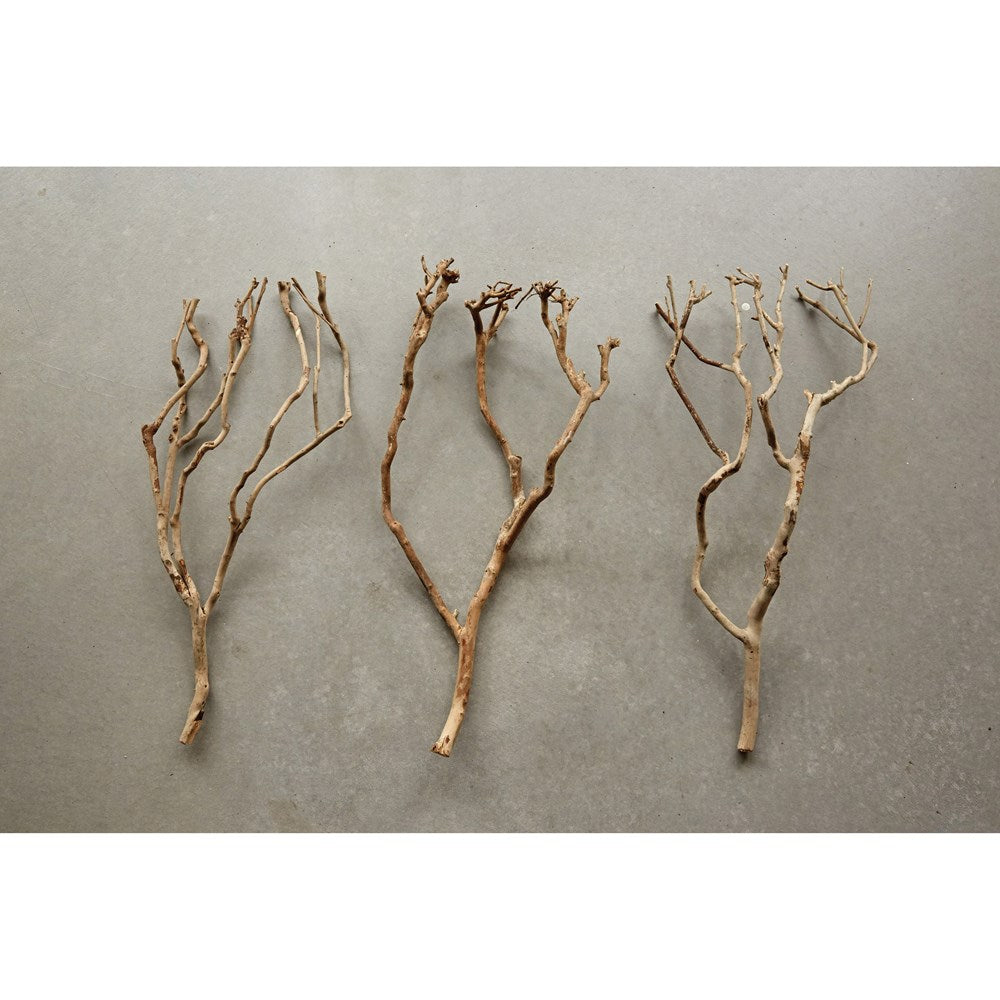 wood tree branch