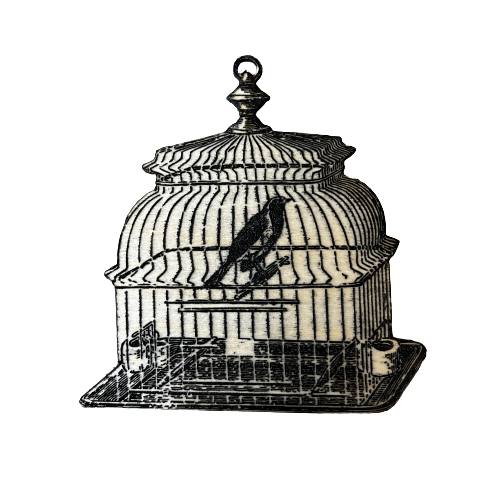 Bird Cage Magnet