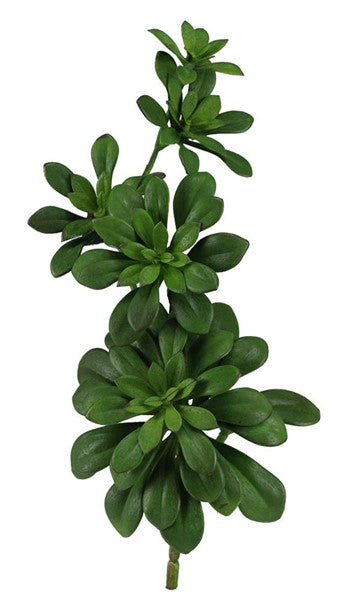 Succulent Pick, green