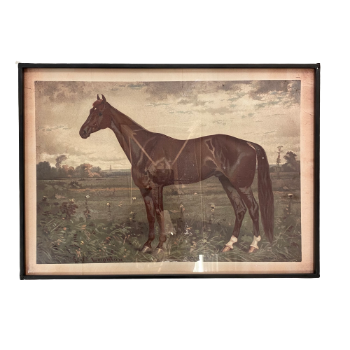 Framed Horse Print