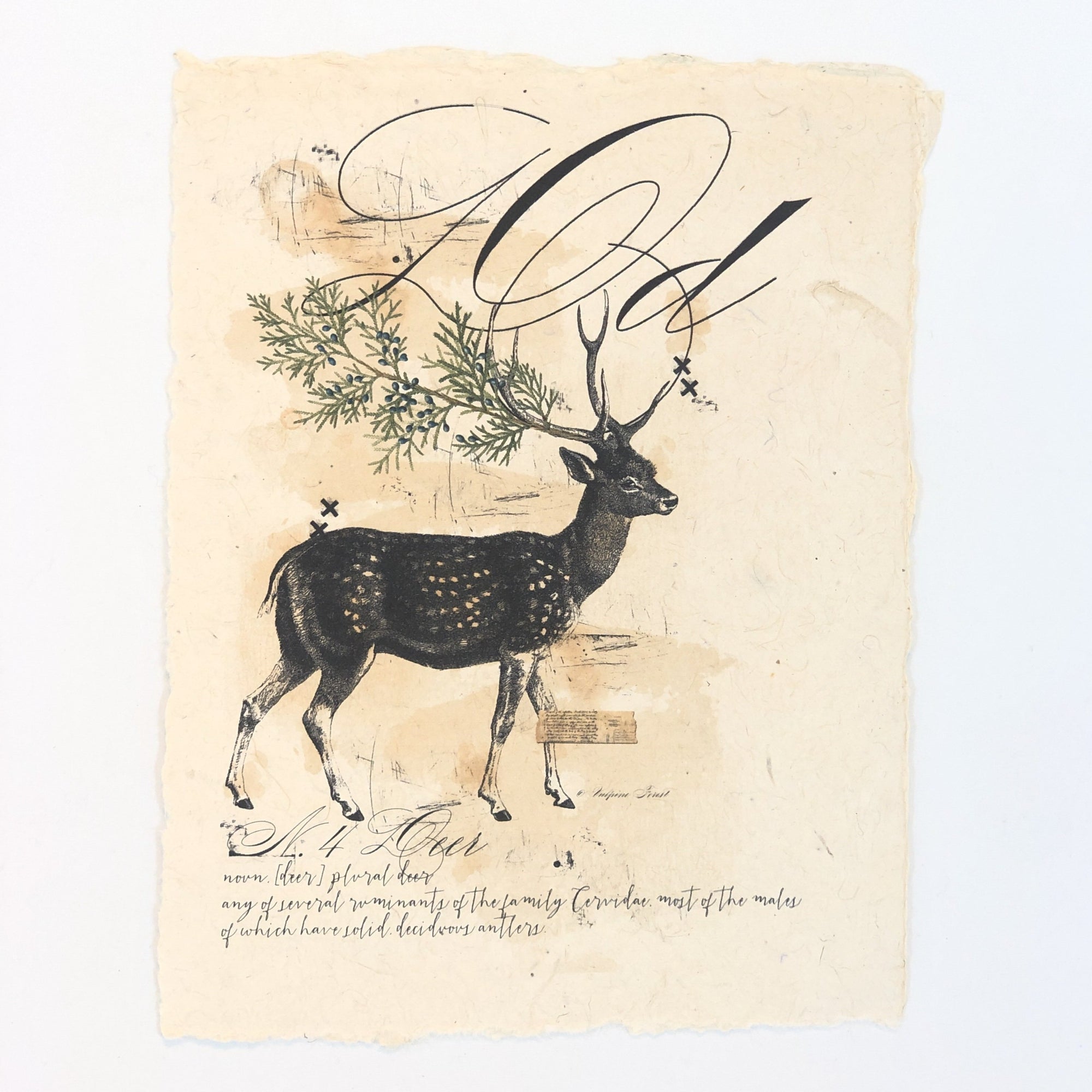 "D" Artisan Alphabet Print