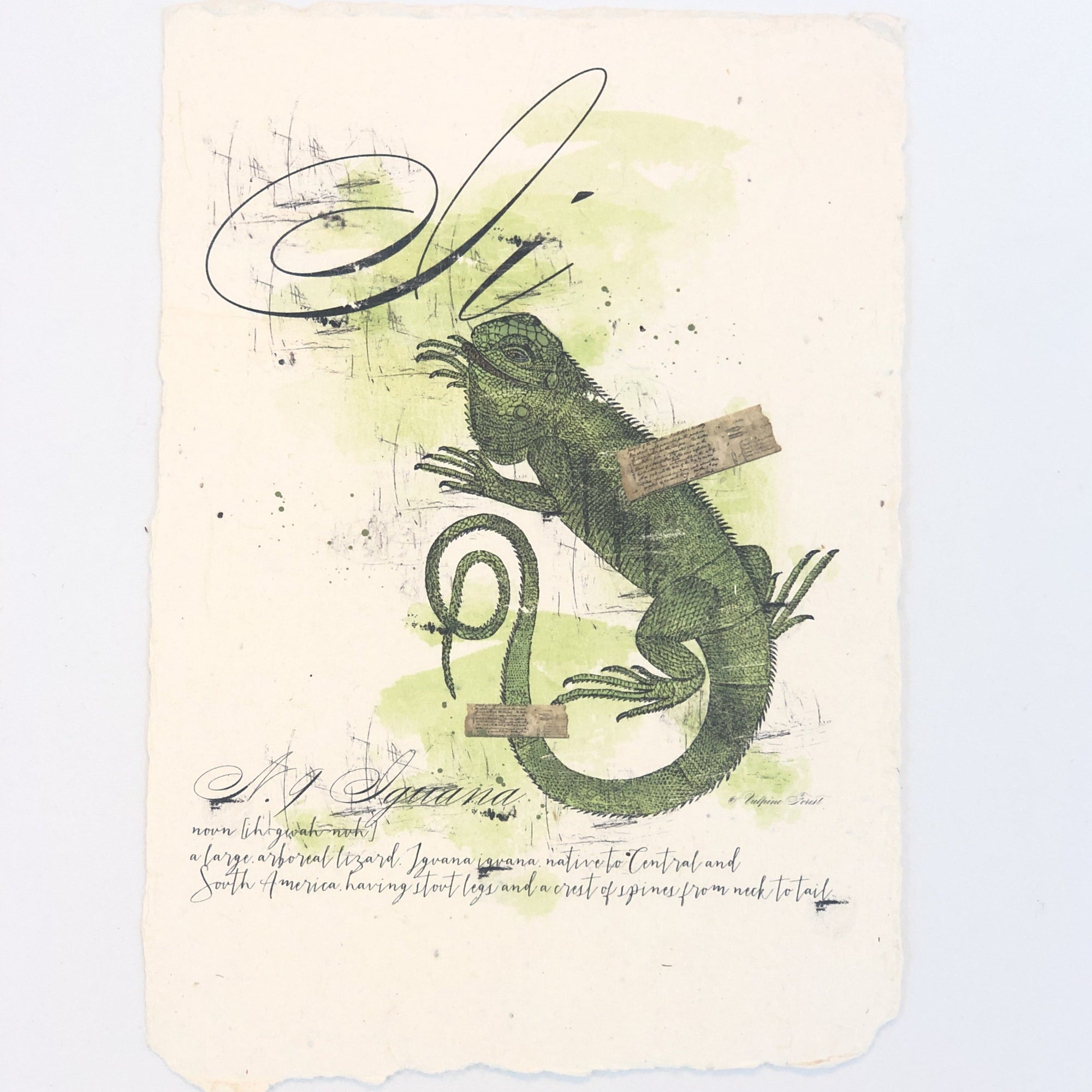 "I" Artisan Alphabet Print