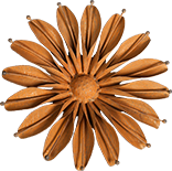 Rust Flower, Sunflower (medium)