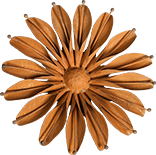 Rust Flower, Sunflower (small)