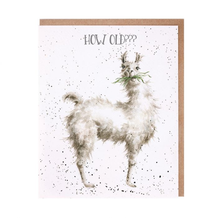 Greeting Card - How Old
