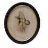 Framed Bird Print