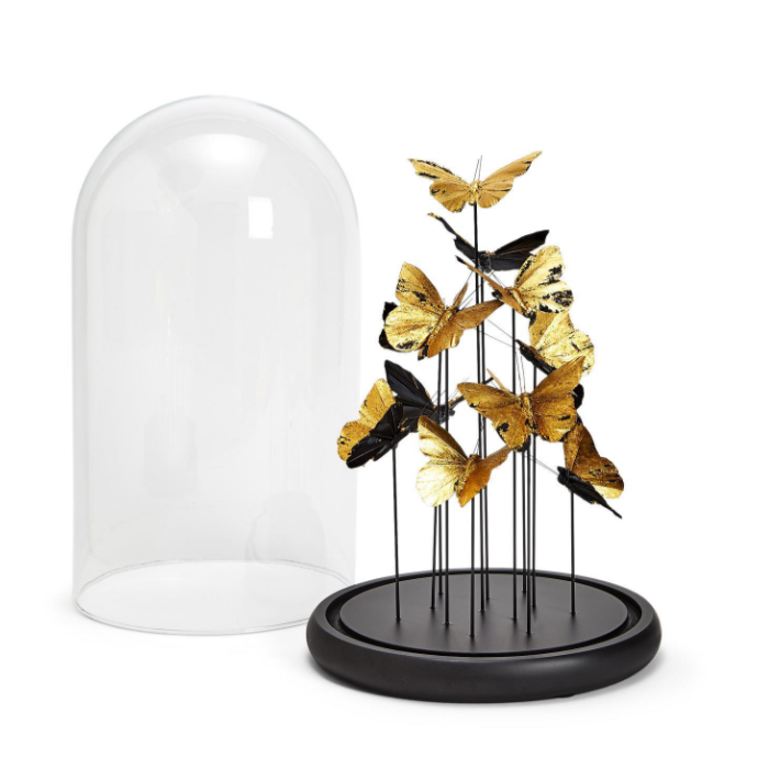 Butterflies in Dome (large)