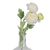 Ranunculus Stem, white