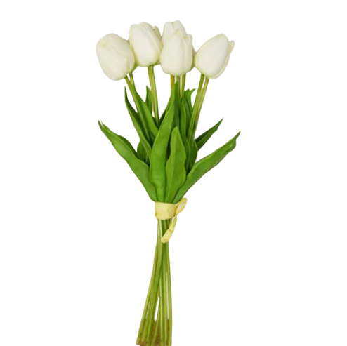 White Tulip Bunch