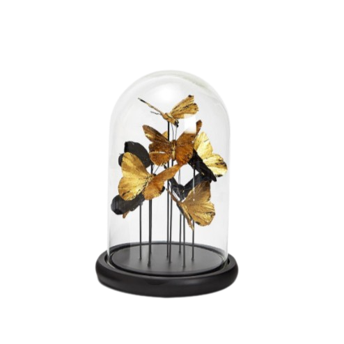 Butterflies in Dome (large)