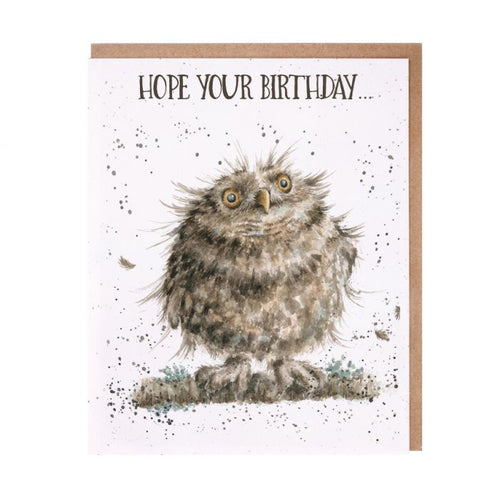 Greeting Card - You're A Hoot