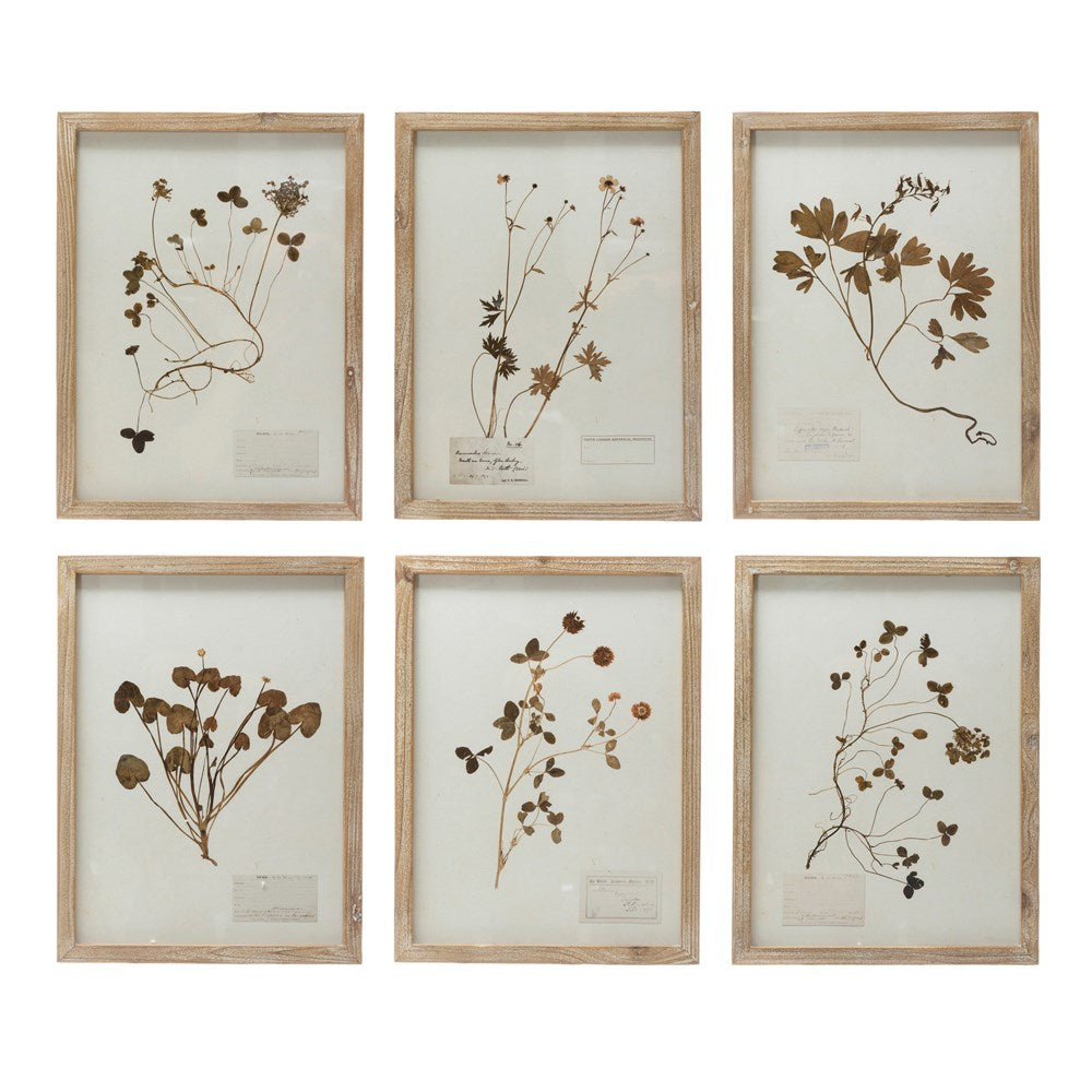 Framed Botanicals Wall Decor