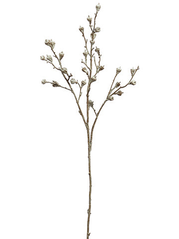 Eucalyptus Pod Spray