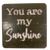 Mini Sign with Stand - "You Are My Sunshine"