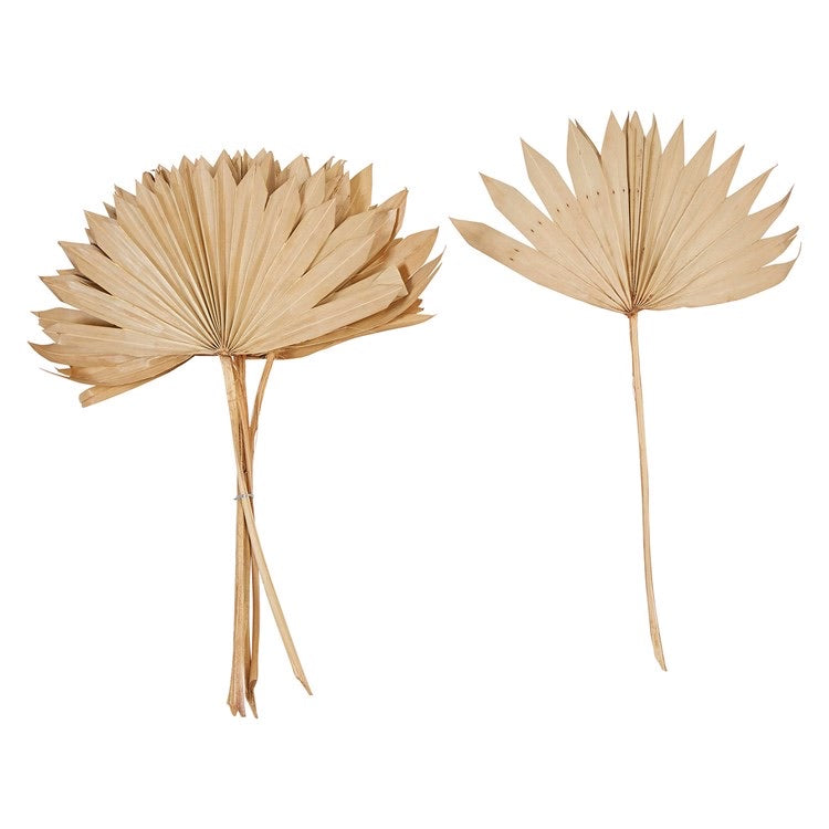 Dried Natural Palm Branch (single)